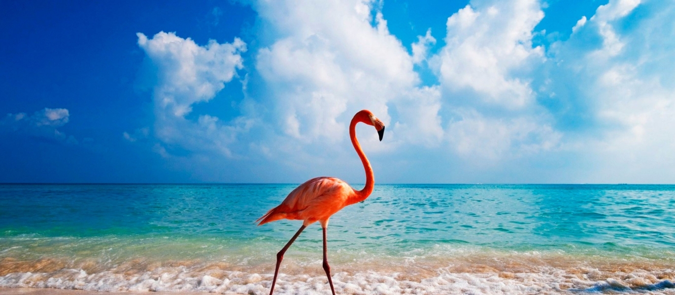 детальніше